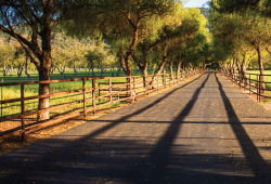 Where to Get Help Paying Your Medicare Costs